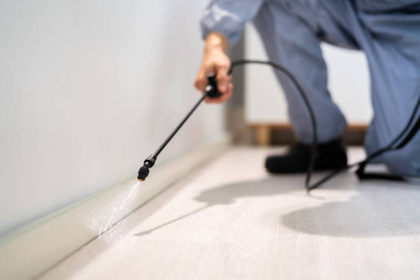 Licensed Cockroach Control service in Kershaw, SC - Nex Pest Control