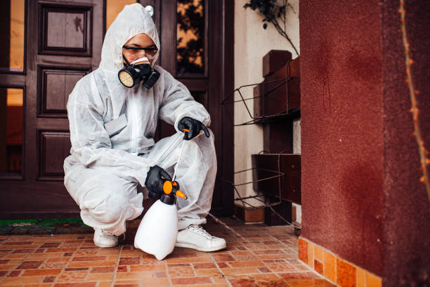 Reliable Cockroach Control contractor in Kershaw, SC by Nex Pest Control