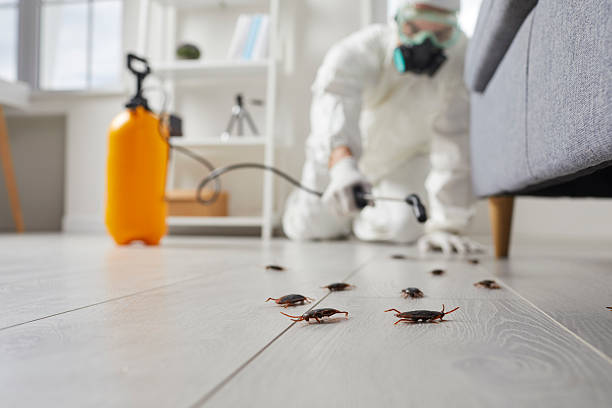 Trusted Fumigation Services service in Kershaw, SC - Nex Pest Control