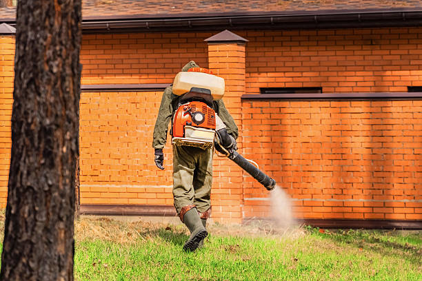 Trusted Termite Control service in Kershaw, SC - Nex Pest Control